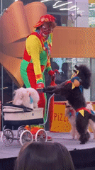 Clown performs poodle trick show at Moscow mall