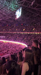 Packed Budapest stadium lights up for a live concert night