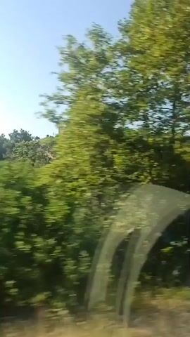 The video shows a moving view from a vehicle, likely a car or bus, traveling through a landscape with lush green trees and foliage. In the distance, a fortified structure, possibly a castle or ancient ruins, is visible on a hilltop under a clear blue sky. The camera captures the passing scenery, with some blurred elements suggesting motion. The overall impression is of a scenic drive through a historical or natural area.