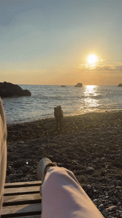 Dog and owner enjoy sunset beach time in Bar