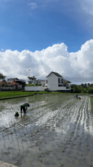 Daily life moments captured in North Kuta, Indonesia