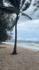 Rough surf and warning flags on a stormy Choeng Thale beach
