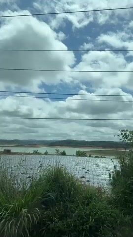 The video shows a view from a moving vehicle, likely a car or bus, looking out of a window. The sky is filled with a mix of white, fluffy clouds and patches of blue. Several parallel power lines stretch horizontally across the frame, obscuring parts of the sky. In the foreground, tall, green grass and other foliage are visible, with some dry, brown grass interspersed. Beyond the vegetation, a body of water, possibly a lake or reservoir, is seen. The water appears calm and reflects the sky. In the distance, rolling hills or mountains form the horizon line. The overall impression is a natural landscape on a partly cloudy day, with signs of human infrastructure like power lines and what appear to be fence posts or markers along the roadside. The perspective suggests a journey through a rural or semi-rural area.