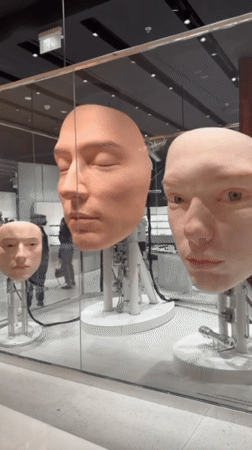 Mechanical mannequin heads displayed behind glass in Dubai
