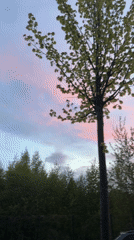 Sunset observed over Kazan featuring pink-blue sky and green trees