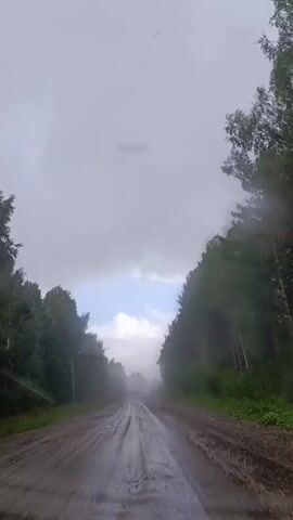 The video shows a point-of-view shot from a vehicle traveling on a wet, muddy road. Tall green trees line both sides of the road, and the sky is overcast with some patches of blue visible. The road appears to be unpaved and has puddles of water. The movement suggests the vehicle is in motion.