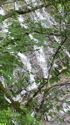 This video captures a close-up view of a cascading waterfall flowing over mossy rocks, surrounded by lush green foliage. The camera pans slowly, offering glimpses of the turbulent water as it descends. Through the branches of trees, the viewer can see the rocky terrain and the clear water of the river below. The scene appears to be set in a natural, wooded environment, likely a forest or park, given the abundant vegetation and the presence of a stream. The lighting suggests it is daytime, and the overall atmosphere is serene and tranquil, evoking a sense of natural beauty and peace. The footage does not contain any visible text.