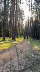 Everyday moments captured in Прикамский forest and streets