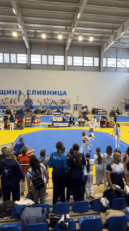 Young Taekwondo competitors face off in Bulgarian gymnasium match
