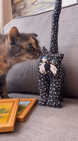 Cat plays with paintings and toy doll on sofa