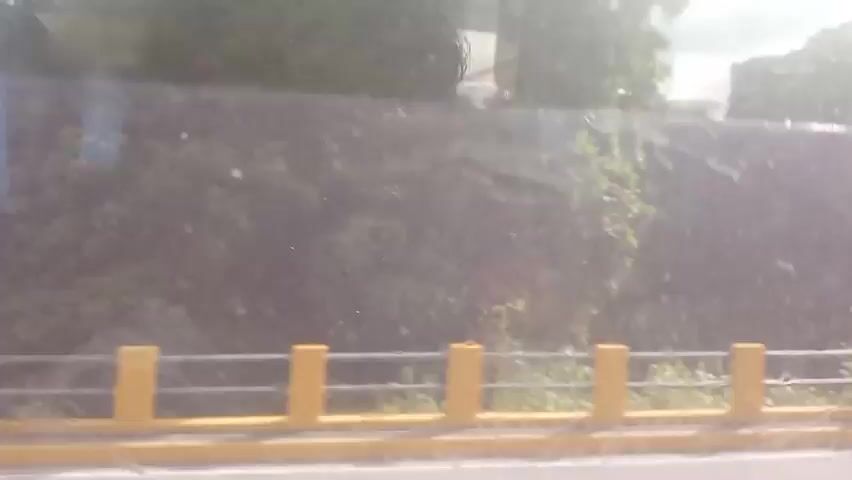 This is a side-view, wide-angle, possibly dashcam, video taken from a moving vehicle. The video captures a bridge railing with yellow posts and a metal railing. Beyond the bridge, there are lush green trees and vegetation under a bright, possibly sunny sky with some clouds. The light is very bright, suggesting daytime. The camera is moving from left to right, indicating the vehicle is traveling in that direction. No people or specific actions are clearly visible beyond the movement of the vehicle. The environment appears to be a natural, possibly rural or suburban setting.