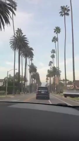 A view from inside a car traveling down a street lined with tall palm trees. The street has two lanes in each direction with a yellow dividing line. Other cars are visible in front of and behind the camera car. The sky is light blue with some clouds. Houses are visible on either side of the street behind the trees.