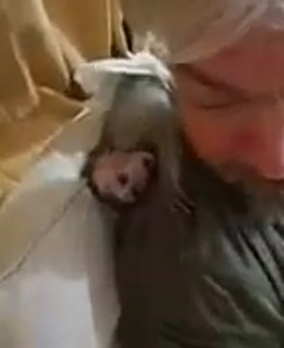 Man cares for baby monkey at Thailand residence
