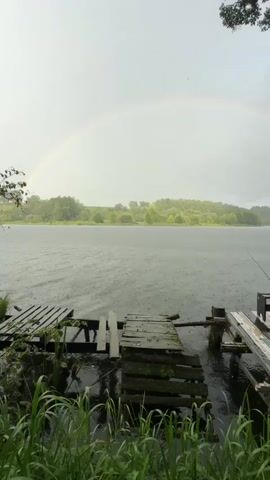 The video shows a picturesque lake scene with a rainbow arching across the sky. Rain is falling, creating ripples on the water's surface. Two weathered wooden piers extend into the lake. The pier on the left is partially submerged and looks old and dilapidated. The pier on the right is in better condition and has several fishing rods set up, suggesting someone is fishing. Tall green grass grows along the edge of the water in the foreground. The background is filled with lush green trees and hills, creating a serene natural landscape. The overall atmosphere is tranquil and slightly melancholic due to the rain and overcast sky.