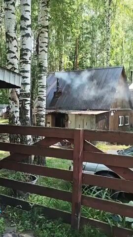 A wooden house with a metal roof is visible, with smoke emanating from its chimney. The house is surrounded by trees, including birch trees. A wooden fence is in the foreground, and a car is parked behind the fence. The scene appears to be in a rural or wooded area.