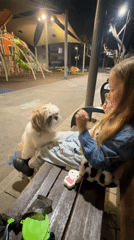 Girl plays with small dog in Bat Yam park