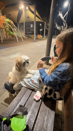 Girl plays with small dog in Bat Yam park