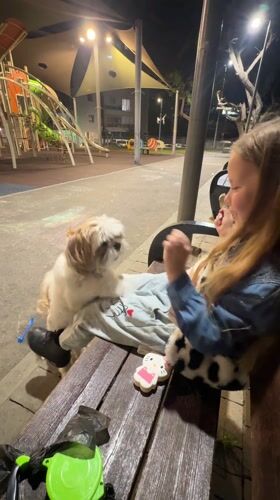 Girl plays with small dog in Bat Yam park