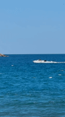 Coastal life captured in Bar: speeding boat, grazing donkey