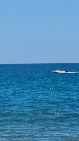 Coastal life captured in Bar: speeding boat, grazing donkey