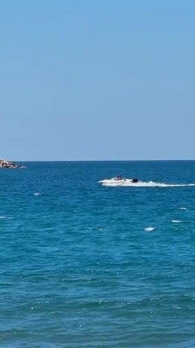 Coastal life captured in Bar: speeding boat, grazing donkey