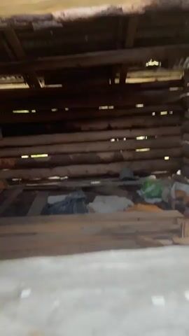 The video shows the interior of a small log cabin or shed. The walls are made of stacked logs with gaps between them. The roof appears to be constructed of wooden beams and corrugated metal or another similar material, with light filtering through the gaps. The floor is partially covered with wooden planks laid haphazardly. There are various objects scattered around, including bags, a bucket, and pieces of wood. The overall impression is one of disrepair and storage. The camera moves around to show the entire scene.
