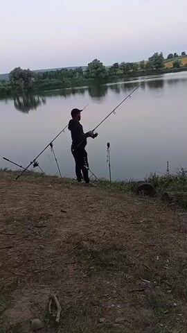 A person is standing by a lake holding a fishing rod. There are two fishing rods on stands near the person. The sky is overcast and it appears to be dusk. The ground around the person is covered in dirt and dry grass. There are trees and hills in the background. The water is calm.