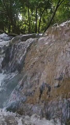 The video shows a close-up view of a cascading waterfall flowing over rocks in a lush green forest. The water is clear and reflects the surrounding trees. The camera appears to be positioned at water level, giving the viewer a unique perspective of the natural environment. The sound of the flowing water is audible.