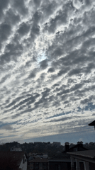 Sochi residents document shifting cloud patterns, everyday moments
