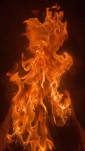 The video displays a close-up view of a bonfire. The flames are vibrant orange and yellow, flickering and dancing against a dark background. The fire appears to be consuming logs of wood, which are visible at the bottom of the frame. The scene is illuminated solely by the light of the fire. There are no people or other objects visible in the frame. The environment is dark, suggesting nighttime or an indoor setting like a fireplace. The overall impression is one of warmth and dynamic movement.