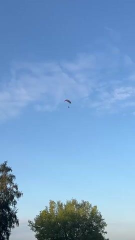 A paraglider is seen soaring through a clear blue sky with a few wispy clouds. The paraglider, which appears to be red and white, is suspended high above the ground. Below the paraglider, the tops of two trees are visible in the lower portion of the frame. The left tree is taller and more slender, while the right tree is broader and fuller. The overall scene depicts a peaceful outdoor environment with a single individual engaged in paragliding.