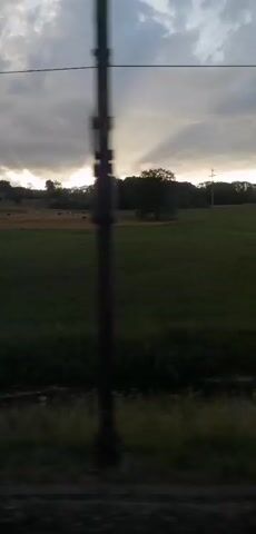The video pans across a rural landscape in Switzerland at dusk. The sky is cloudy, with rays of sunlight breaking through, creating a dramatic effect. In the foreground, there is a grassy field with a few scattered cows. Beyond the field, a line of trees forms a dark silhouette against the sky. The camera is moving, likely from a vehicle, as evidenced by the blurred foreground and the sense of motion. There are no people or man-made objects visible in the scene, apart from a thin wire stretching across the sky at the beginning of the video. The overall mood is serene and picturesque, capturing the beauty of the Swiss countryside at the end of the day.