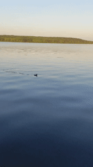 Urban waterfront scenes documented over 30 minutes by witness