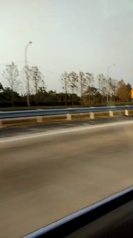 The video shows a view from a moving vehicle on a highway. The road surface is paved and has lane markings. On the left side of the road, there is a metal guardrail, followed by a grassy area with a line of trees. Some of the trees are bare, suggesting a colder season. There are also streetlights visible along the roadside. The sky is overcast and appears to be either early morning or late evening. The right side of the video shows the interior of the vehicle, with a dark window frame in the foreground. There are no people visible in the video. The overall environment suggests a rural or suburban highway.