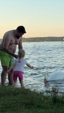A man and a young girl stand on the grassy bank of a body of water. The man, shirtless and wearing green shorts, is holding a small, light-colored object in his outstretched hand. The girl, facing away from the camera, wears a light-colored shirt and pink shorts and has her right arm extended towards the water. A large white swan is swimming near the bank, its head lowered as if to take the object from the man's hand. The water is rippled, and in the background, a treeline is visible on the far shore, with a few indistinct figures and boats in the distance. The sky is a soft, pale color, suggesting dusk or dawn.
