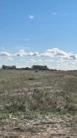 A video pans across a grassy field under a blue sky dotted with white clouds. In the distance, a line of trees can be seen. The grass appears dry and tall, swaying slightly in the breeze. The overall impression is of a rural landscape on a clear day.