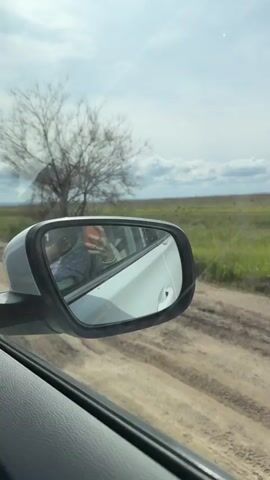 A car is traveling on a dirt road through a rural area with green fields and a cloudy sky. The view is from inside the car, looking out the driver's side window. The side mirror is visible, reflecting the interior of the car and a person in the passenger seat. The road is dusty and unpaved. A bare tree stands in the field alongside the road.