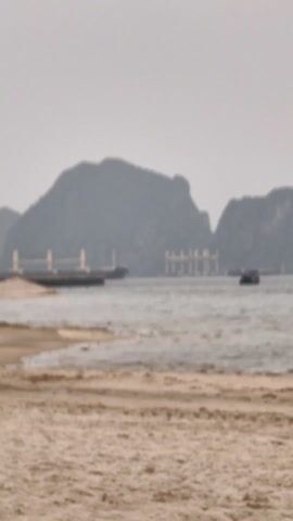 The scene is a view of a beach with a bay in the background. The beach is sandy and extends into the foreground. The water is choppy with small waves. In the background, there are mountains or islands that appear hazy due to the weather conditions. Several ships are visible in the bay, including a large cargo ship at a pier with gantry cranes, another ship further out in the water, and a smaller boat moving along the water's surface. The sky is overcast, contributing to the overall muted and greyish tones of the scene.