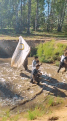 Race of Heroes obstacle course event in Sertolovo, Russia