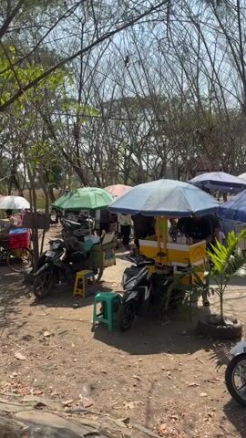 The video shows an outdoor market scene with several food stalls. There are motorcycles parked near the stalls, suggesting a casual market setting. The stalls are covered by umbrellas, providing shade. In the foreground, there are two small plastic stools, one yellow and one green. People are visible behind the stalls, likely vendors or customers. The ground is dirt and gravel, and the area is surrounded by trees with bare branches, indicating it might be a dry season. One stall has a yellow cart with a blue umbrella and appears to be selling drinks, with various bottles and containers visible. Another stall has a green umbrella and a green cart, with items stacked inside. A person is seen sitting on a motorcycle near the green umbrella stall. The overall atmosphere appears to be a bustling outdoor market.