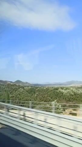 The video shows a landscape viewed from a moving vehicle, likely a train, judging by the parallel tracks visible in the foreground and the reflections in the window. The scene is dominated by a clear blue sky with scattered white clouds. Below the sky is a rolling landscape covered in dense green trees and foliage, with some lighter patches possibly indicating flowering plants or different types of trees. In the distance, gentle hills or mountains are visible, with a hazy, lighter-colored horizon. A modern-looking barrier or railing runs horizontally across the lower part of the frame, separating the viewer from the landscape. The overall impression is one of a sunny day with a pleasant, natural environment.