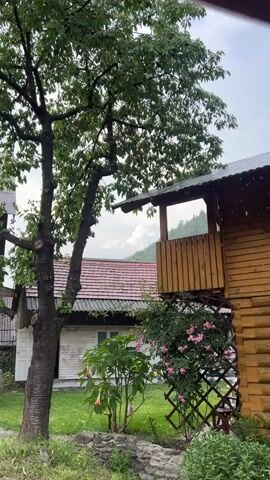 This is a video clip showing a backyard scene in Ust-Chorna, Ukraine. The main subjects are a large tree with green leaves on the left, a wooden structure with a balcony on the right, and a smaller white building with a red roof in the background. There are also pink roses blooming near the base of the wooden structure and a few other plants and rocks in the foreground.

The activity taking place is that it is raining. Small raindrops are visible falling through the air, particularly noticeable against the darker surfaces and in the sky. The sky appears overcast and cloudy, with a large white cloud formation visible in the distance behind the buildings. The overall mood is somewhat somber due to the rain and cloudy weather. The setting appears to be a rural or semi-rural area, given the natural elements like the trees and hills in the background, and the rustic wooden structures. The time of day is difficult to pinpoint precisely but the lighting suggests it is daytime, possibly late morning or afternoon, with the overcast sky obscuring direct sunlight. There is no visible text in the video.