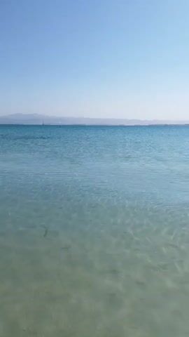 This video shows a serene seascape on a bright, clear day, likely in Safaga, Egypt. The foreground is dominated by incredibly clear, shallow turquoise water, allowing the sandy seabed to be distinctly visible through the gentle ripples. The water gradually deepens, transitioning to a deeper blue towards the horizon. In the far distance, a faint line of mountains or landmass is visible, adding depth to the scene. A few small boats or buoys dot the distant water. The sky above is a cloudless, vibrant blue. The only sound is the happy, distant chatter and laughter of children, suggesting a lively beach area just out of frame. The overall impression is one of peaceful natural beauty and a perfect sunny day by the sea.