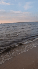 Baltic beach at golden hour, Świnoujście