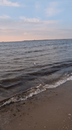 Baltic beach at golden hour, Świnoujście