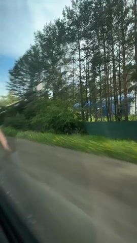 The video begins with a blurred shot of trees and green foliage from inside a moving vehicle. The perspective then shifts to the interior of the vehicle, showing a car mat on the floor with two pairs of shoes, two plastic water bottles, and a Sprite bottle. A person's legs, wearing black leggings, are visible in the foreground. The scene then focuses on a small white fluffy dog in a carrier, being petted by a person's hand. Another person's hand is seen holding a blue and red can. Finally, the video shows a child in a car seat, wearing a white shirt and a grey safety vest, holding a bottle of soda with a blue label. The child is looking out the window as the vehicle continues to move through a wooded area.