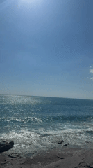 Sunny coastal day captured through flowers and beach scenes