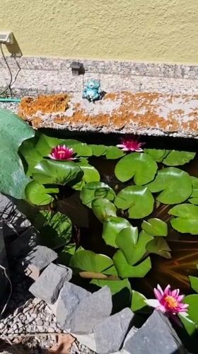 Morning stroll documented through Sant Joan Les Fonts gardens