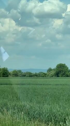 The video shows a view from inside a moving vehicle, most likely a car. The car is traveling alongside a grassy field.  The field is bordered by trees and bushes.  In the distance, there is a small hill.  The sky is blue with white clouds.  The sun is shining, but it is partially obscured by the clouds.  At least two red poppies are visible in the field. The audio consists of one or more people talking inside the vehicle.