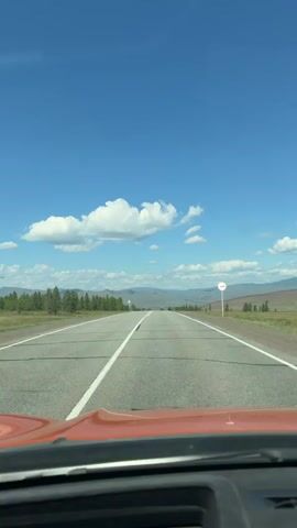 A dashcam view shows a paved road with double white lines stretching into the distance under a clear blue sky with scattered white clouds. On the left side of the road, a line of evergreen trees borders a grassy plain. On the right side, the grassy plain continues, with low, rolling hills visible in the far distance. A white circular sign with some markings is visible on the right side of the road. The front of an orange vehicle is visible in the foreground. The video appears to be filmed while driving.